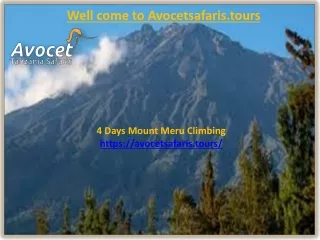 well come to avocetsafaris tours