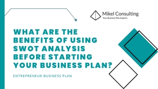 Entrepreneur Business Plan - Mikel Consulting