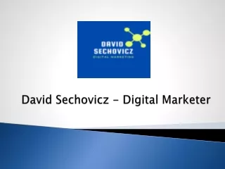 david sechovicz digital marketer
