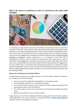 What is the process of calculating the return on investment on your social media campaigns