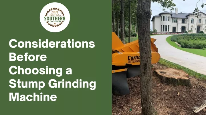 considerations before choosing a stump grinding