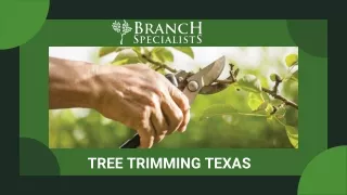tree trimming texas