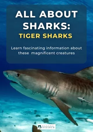 All About Sharks Tiger Sharks
