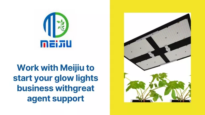 work with meijiu to start your glow lights
