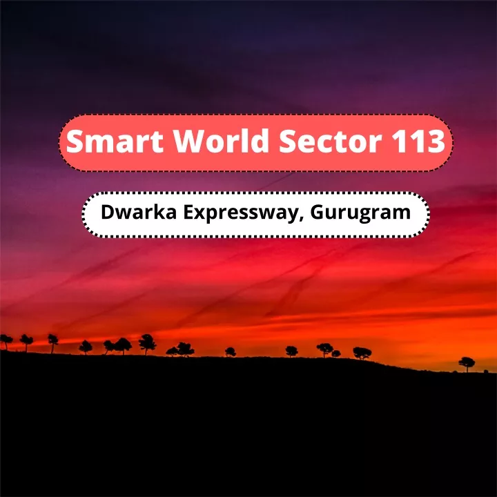 smart world sector 113