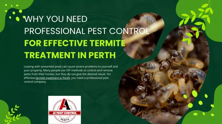 why you need professional pest control