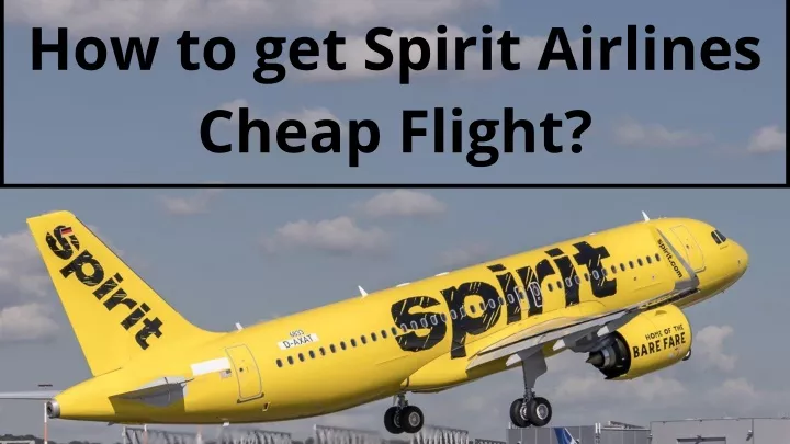 how to get spirit airlines cheap flight