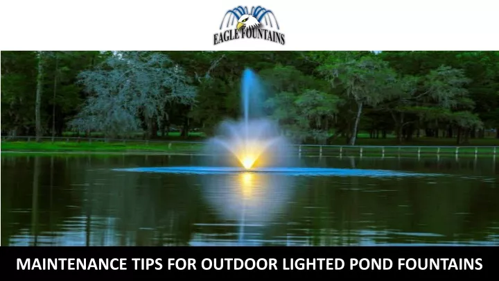 maintenance tips for outdoor lighted pond