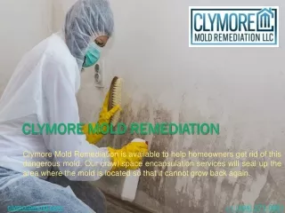 Clymore Mold Remediation
