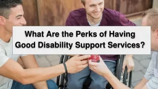 What Are the Perks of Having Good Disability Support Services_