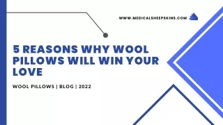REASONS WHY WOOL PILLOWS WILL WIN YOUR LOVE