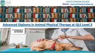 Launching Your Career With a Animal Physical Therapy Diploma Course