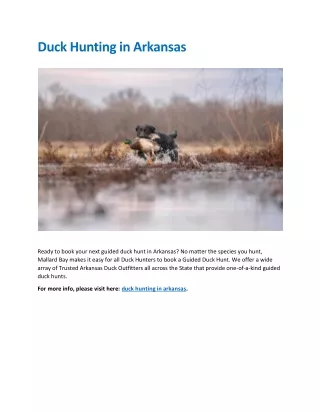 Duck Hunting in Arkansas