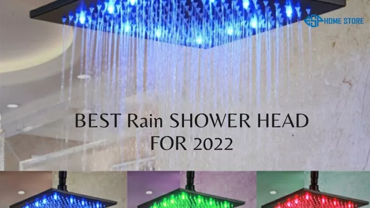 best rain shower head for 2022