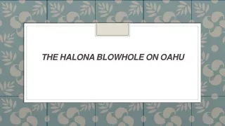 the halona blowhole on oahu