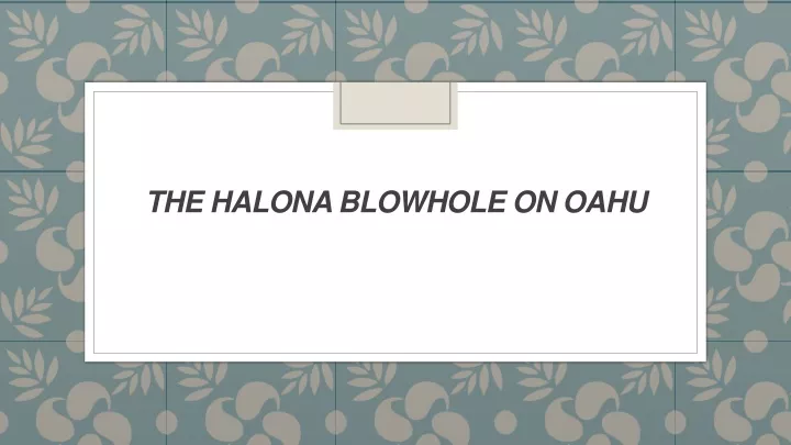 the halona blowhole on oahu
