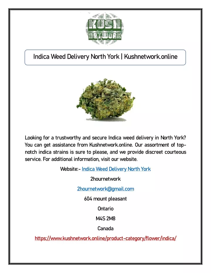indica weed delivery north york kushnetwork online