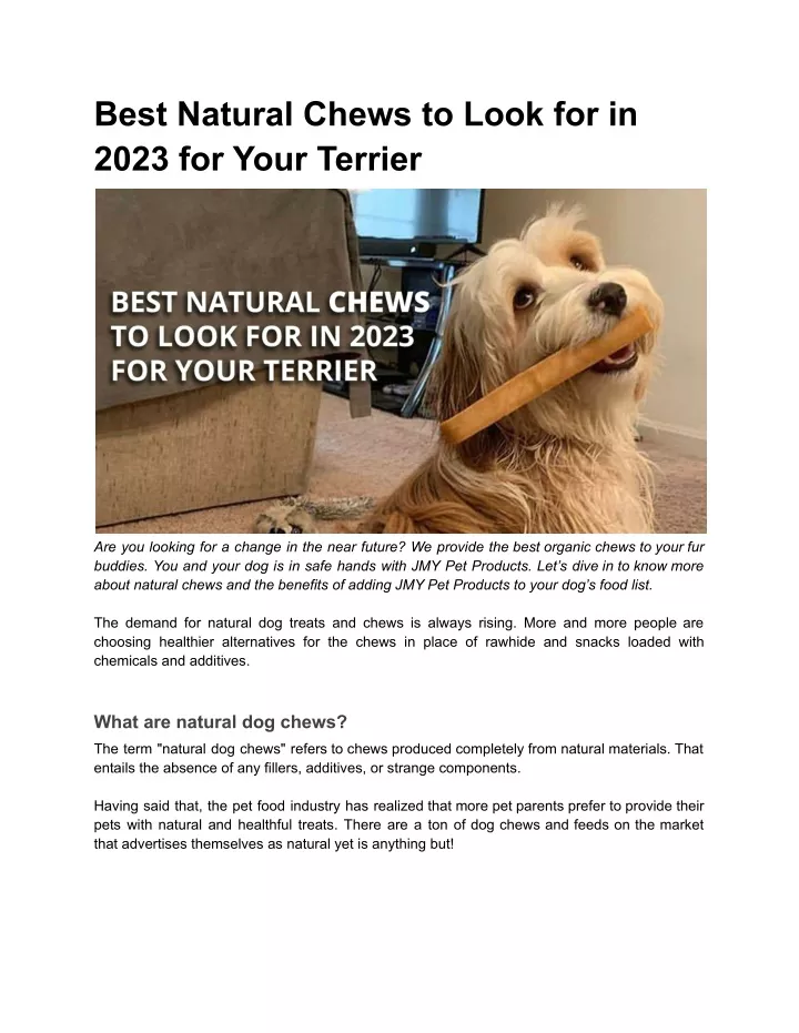 best natural chews to look for in 2023 for your