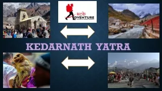 Kedarnath Tour - Book Now