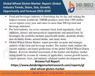 global wheat gluten market report global industry