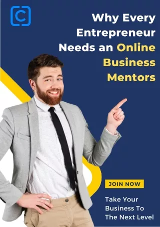 Why Every Entrepreneur Needs an Online Business Mentors