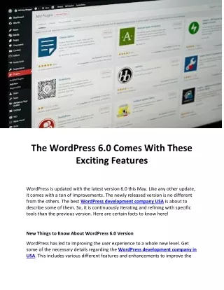 custom wordpress development company
