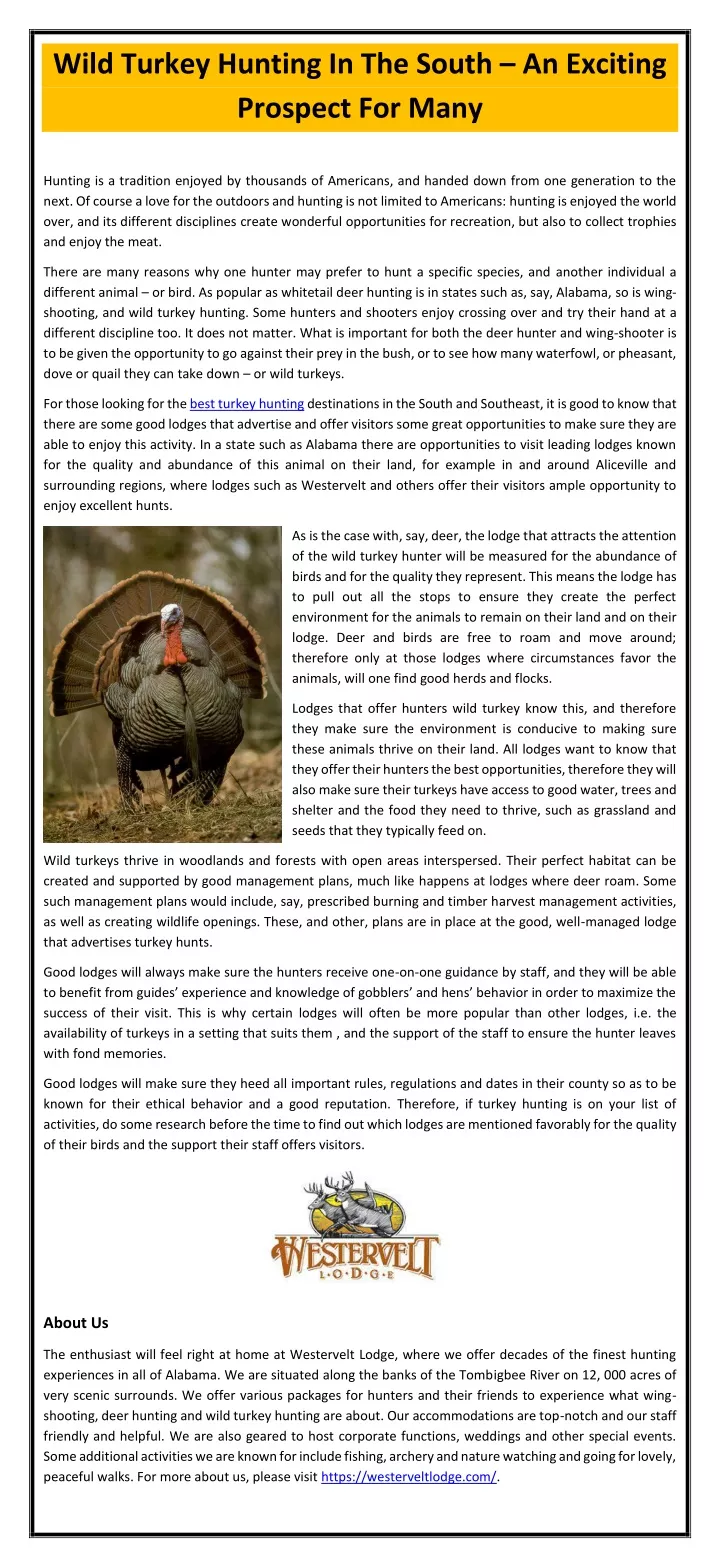 wild turkey hunting in the south an exciting