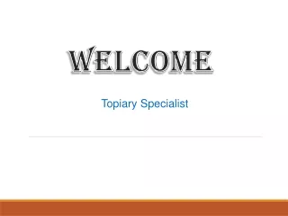 welcome