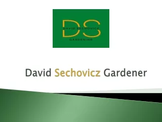 David Sechovicz Gardening services