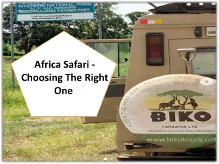 Africa Safari - Choosing The Right One