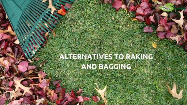 alternatives to raking and bagging