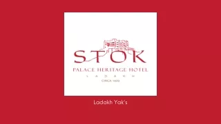 ladakh yak s