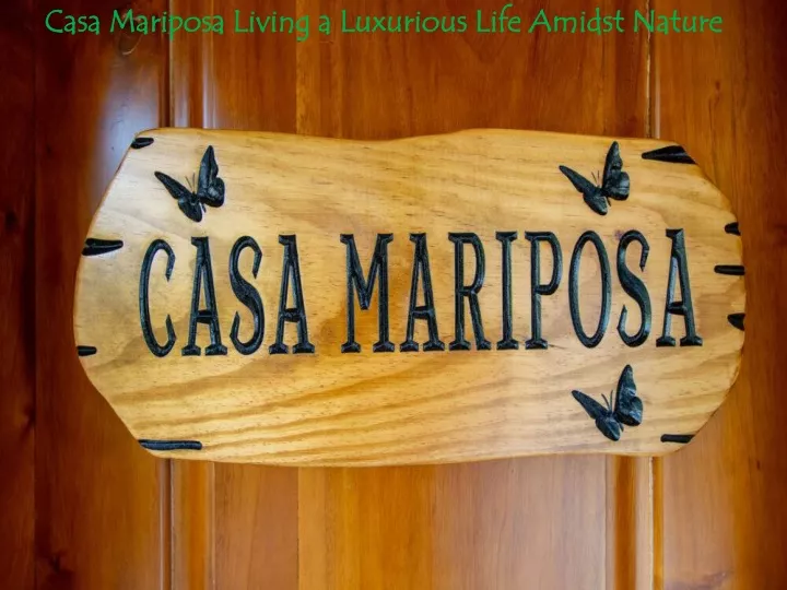 casa mariposa living a luxurious life amidst