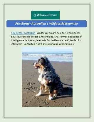Prix berger australien | Wildaussiedream.be