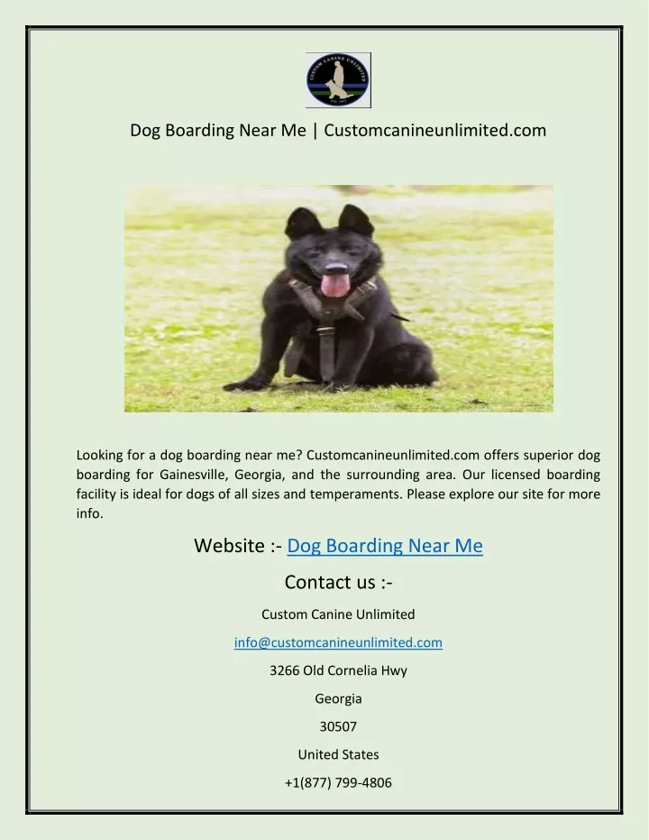 dog boarding near me customcanineunlimited com