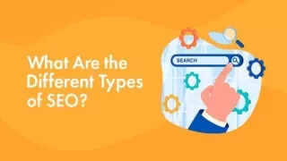 what are the different types of seo