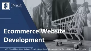 ecommerce website development