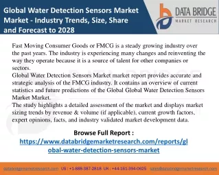 Global Water Detection Sensors Market