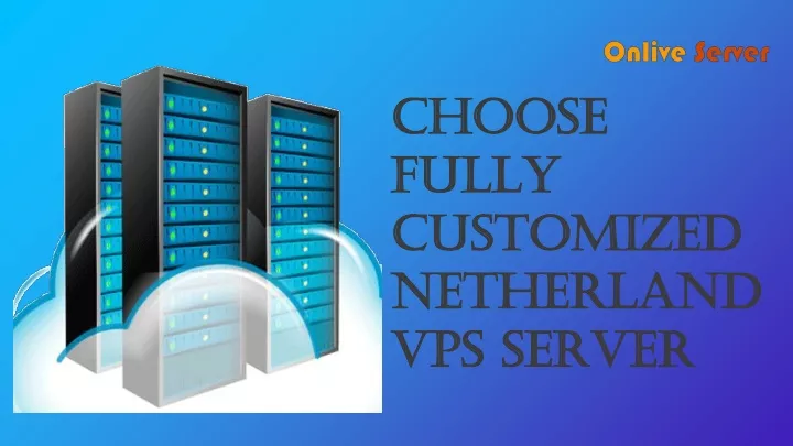 choose fully customized netherlandvps server