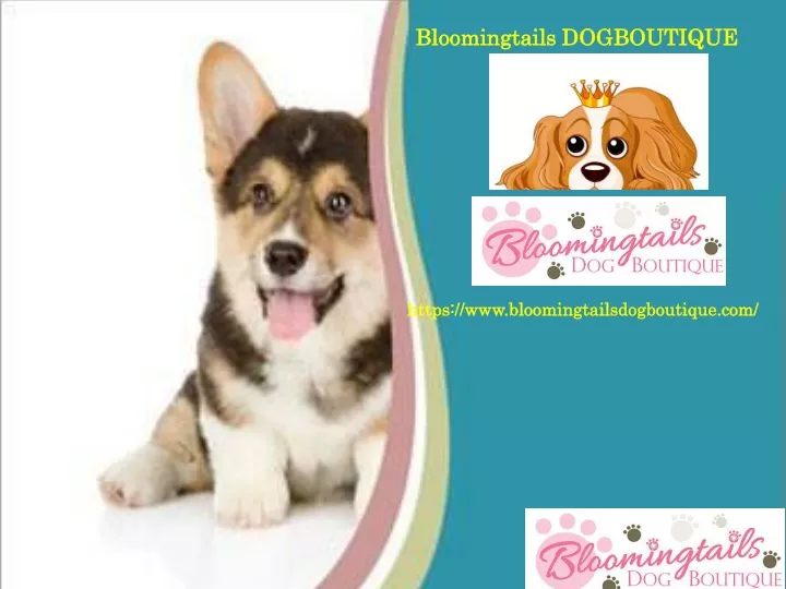 bloomingtails dogboutique