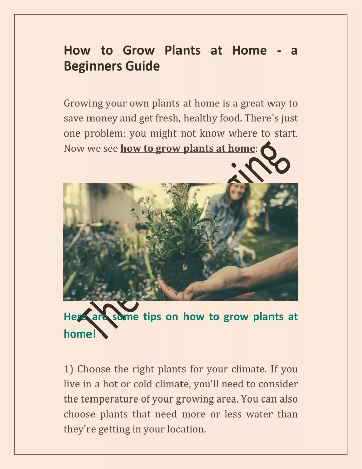 How To Grow Plants At Home