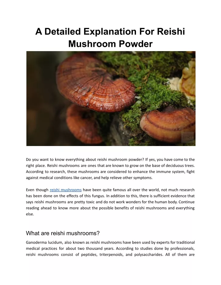 a detailed explanation for reishi mushroom powder