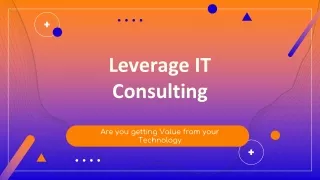 leverage it consulting