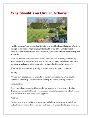 why should you hire an arborist