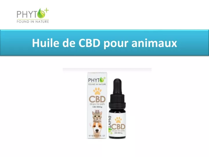 huile de cbd pour animaux