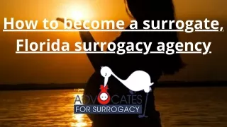 How to become a surrogate, Florida surrogacy agency