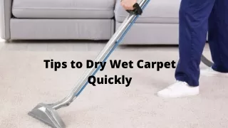 Tips to Dry Wet Carpet Quickly