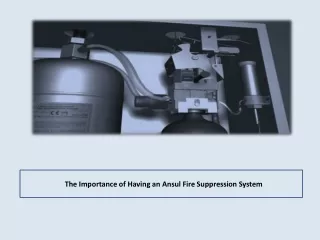 The Importance of Having an Ansul Fire Suppression System