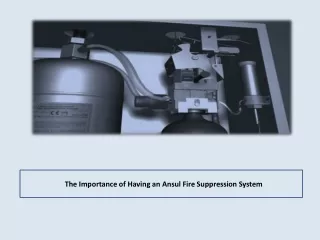 the importance of having an ansul fire