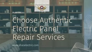 Choose Authentic Electric Panel Repair Services